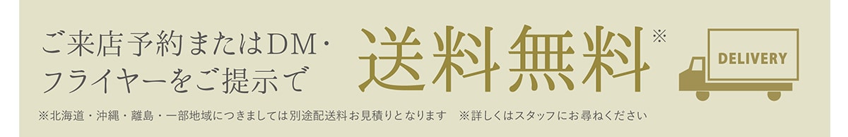 ペルウールラグ展送料無料