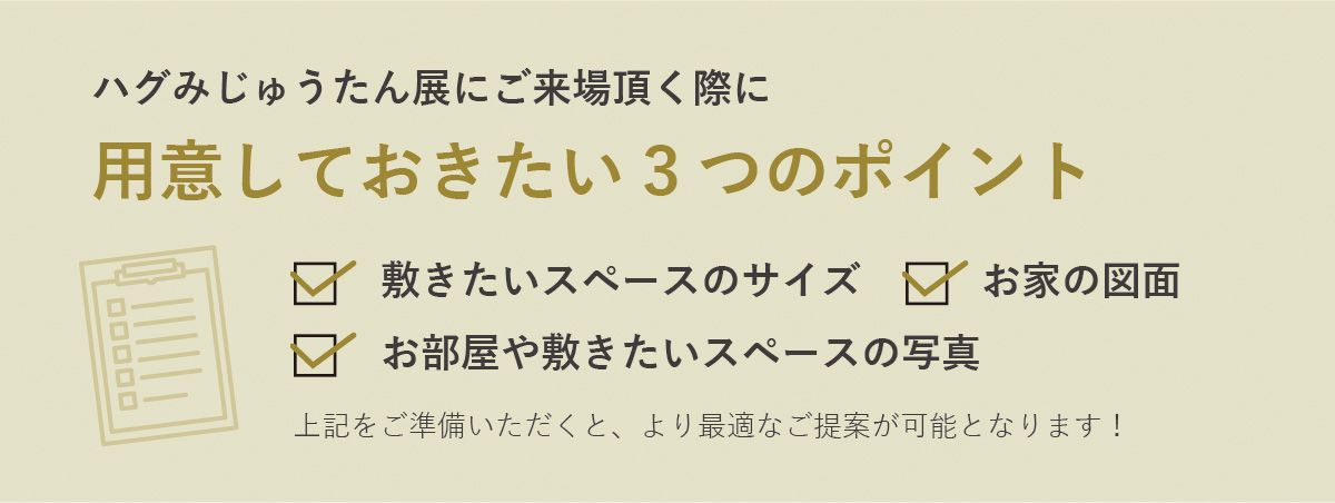 アデペシュ海老名店 ハグみじゅうたん展