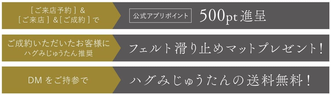 ハグみじゅうたん展