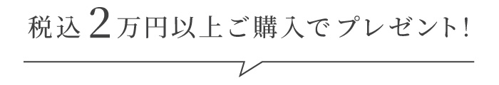 購入特典 ノベルティプレゼント